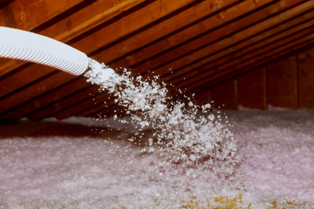 Best Blown-in Insulation in Sultana, CA