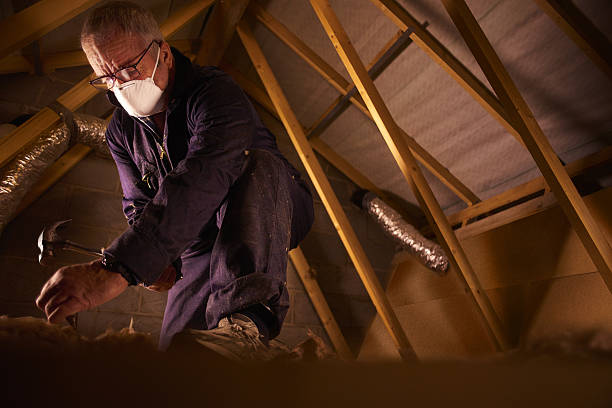 Best Cellulose Insulation in Sultana, CA