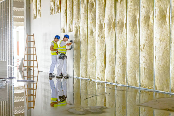 Best Insulation for Specific Applications in Sultana, CA